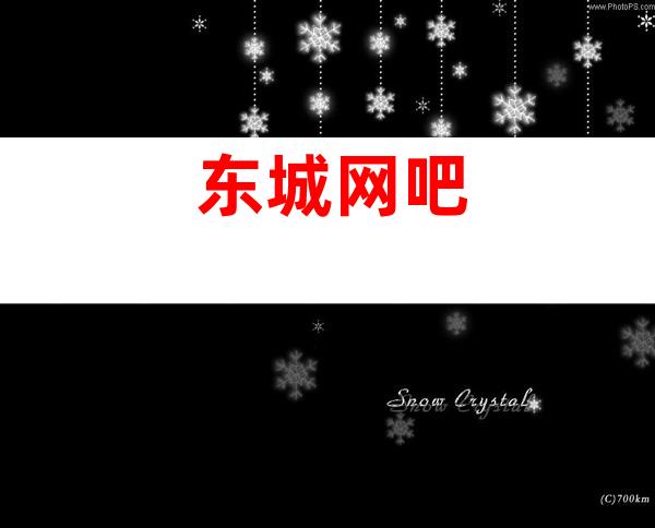东城网吧