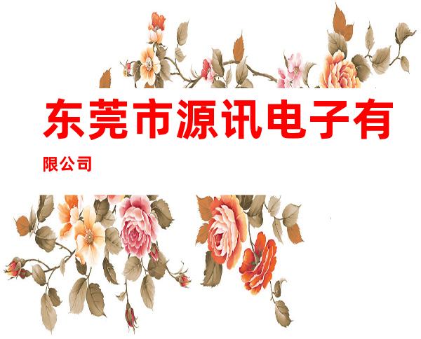 东莞市源讯电子有限公司