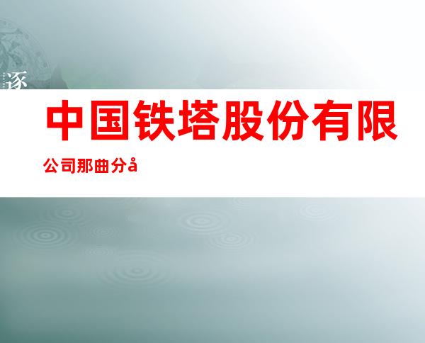 中国铁塔股份有限公司那曲分公司