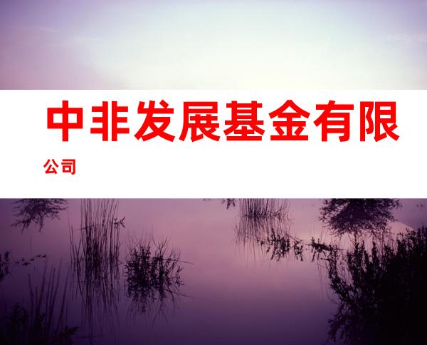 中非发展基金有限公司