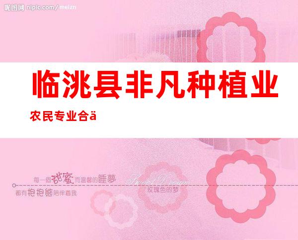 临洮县非凡种植业农民专业合作社