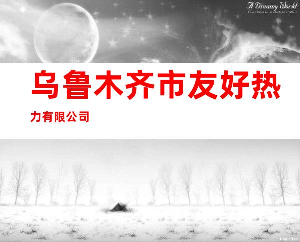 乌鲁木齐市友好热力有限公司