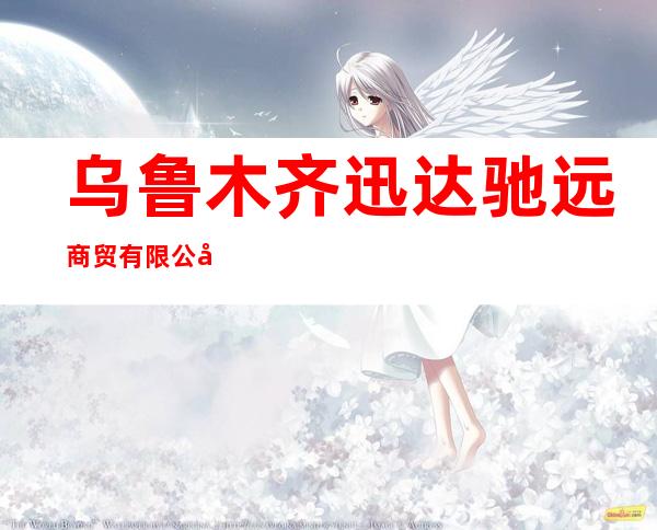 乌鲁木齐迅达驰远商贸有限公司