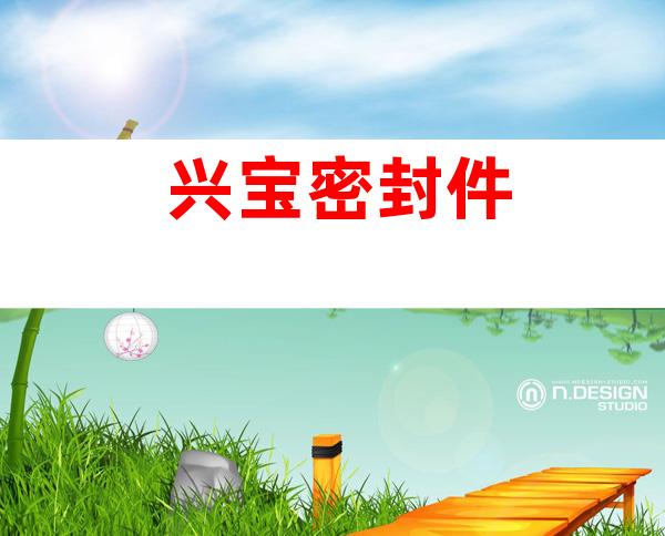 兴宝密封件