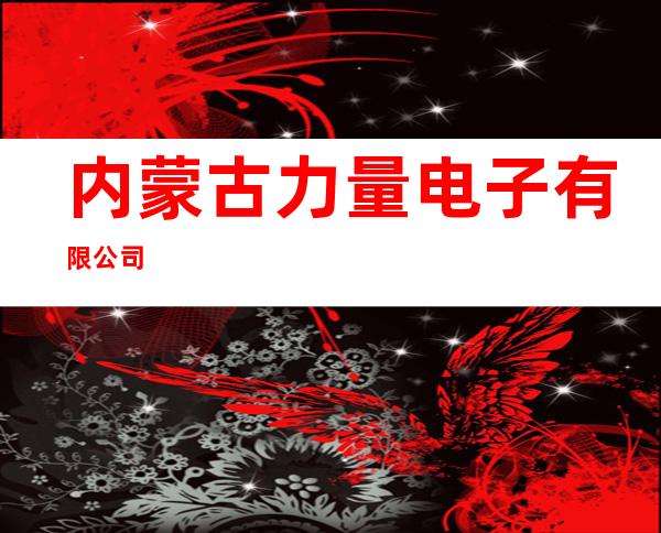 内蒙古力量电子有限公司