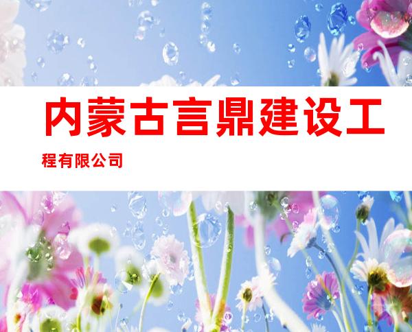 内蒙古言鼎建设工程有限公司