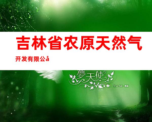 吉林省农原天然气开发有限公司