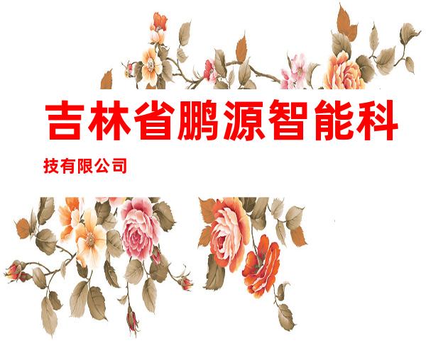 吉林省鹏源智能科技有限公司