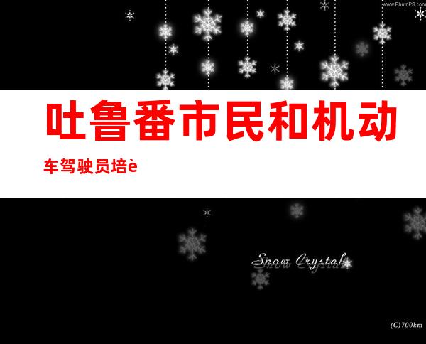 吐鲁番市民和机动车驾驶员培训学校有限公司