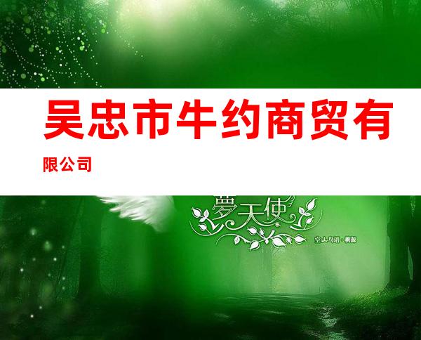 吴忠市牛约商贸有限公司