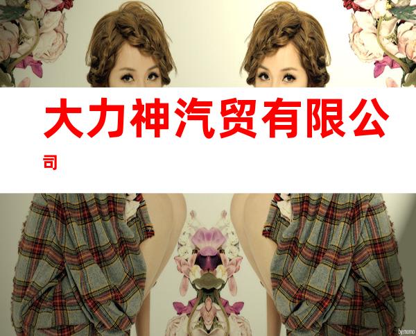 大力神汽贸有限公司
