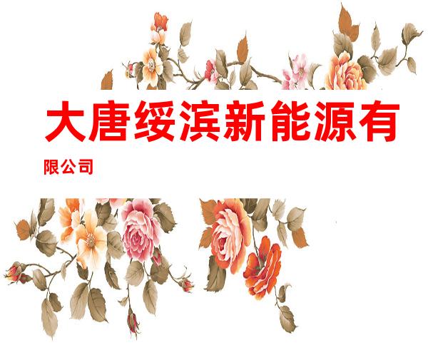 大唐绥滨新能源有限公司