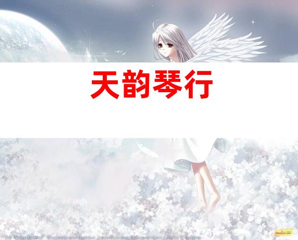 天韵琴行
