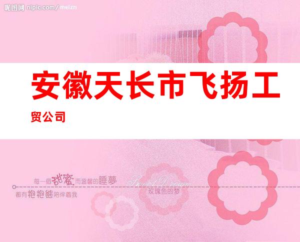 安徽天长市飞扬工贸公司