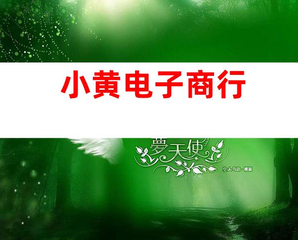 小黄电子商行