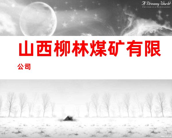 山西柳林煤矿有限公司