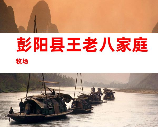 彭阳县王老八家庭牧场