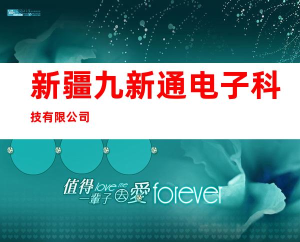 新疆九新通电子科技有限公司