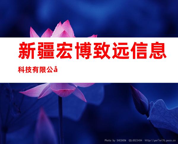 新疆宏博致远信息科技有限公司