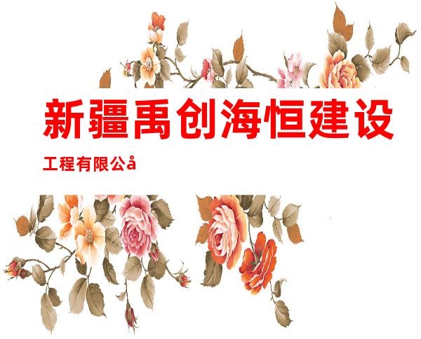 新疆禹创海恒建设工程有限公司