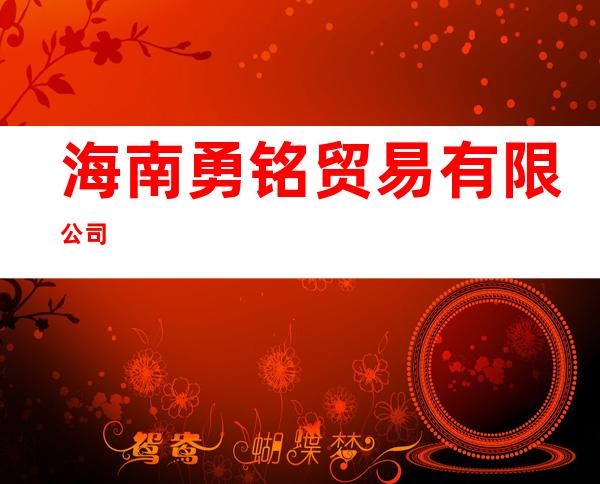 海南勇铭贸易有限公司