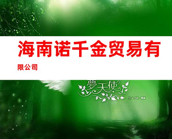 海南诺千金贸易有限公司