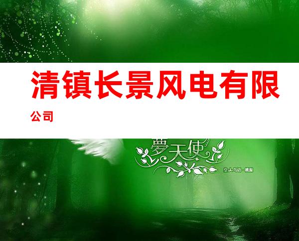 清镇长景风电有限公司