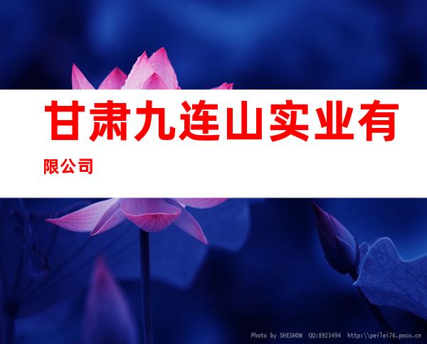 甘肃九连山实业有限公司