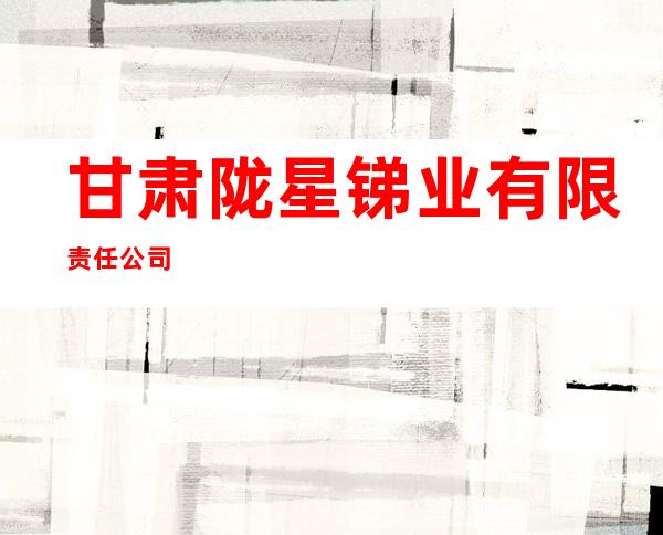 甘肃陇星锑业有限责任公司