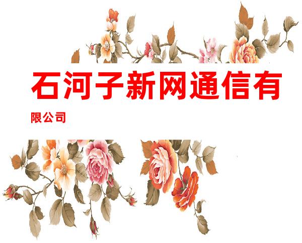 石河子新网通信有限公司