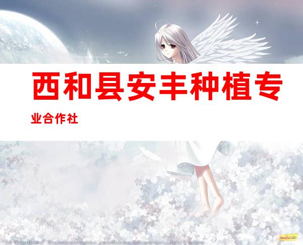西和县安丰种植专业合作社