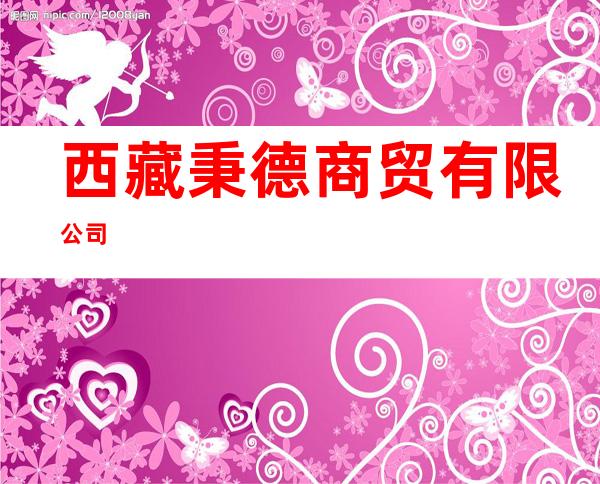 西藏秉德商贸有限公司