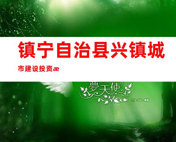 镇宁自治县兴镇城市建设投资有限责任公司