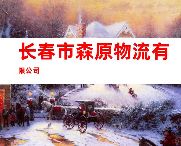 长春市森原物流有限公司