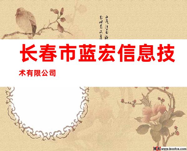 长春市蓝宏信息技术有限公司