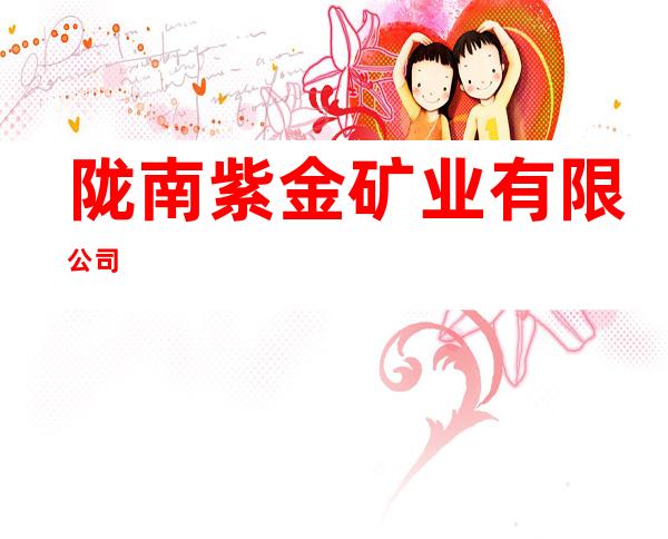 陇南紫金矿业有限公司