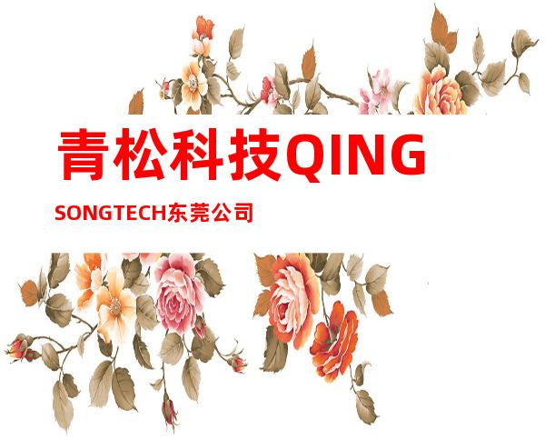 青松科技 QINGSONG TECH 东莞公司